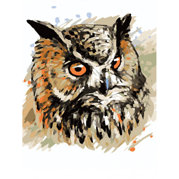 Malen nach Zahlen "Owl Face" Premium Set