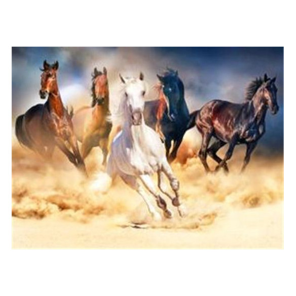 Diamond Painting Galoppierenden Pferde 40x30 cm