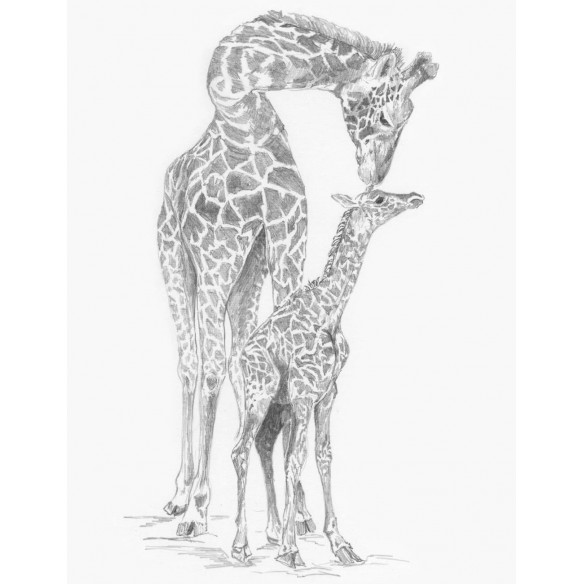 Skizzieren leicht gemacht Giraffe & Baby 28,5x22 cm Pracht